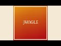 Jungle - Holding On