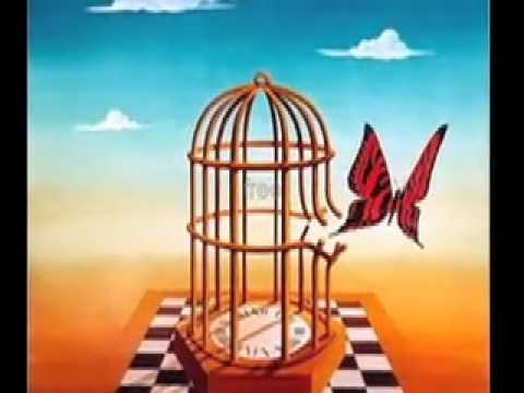 Free - Donavon Frankenheiter & Jack Johnson