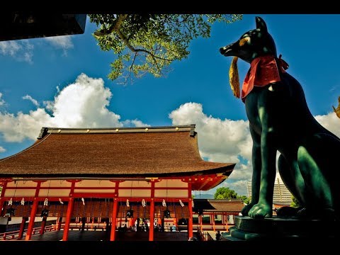 "1000 Tage für ein ganzes Leben" 2020