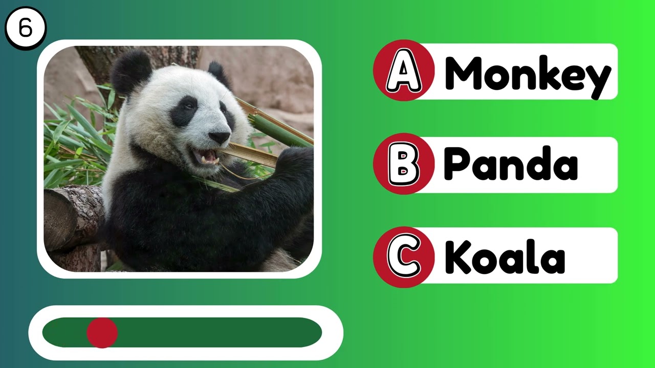 Guess the Wild Animal Quiz #1 🐾 | Fun Quiz for Kids (12 Questions!)