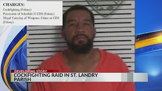 Sheriff Guidroz speaks on illegal cockfighting ring busted in St. Landry Parish