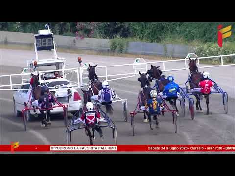 III Corsa del 24 Giugno 2023 - 3 Anni F - Metri 1600