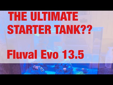 Fluval Evo 13.5 Review