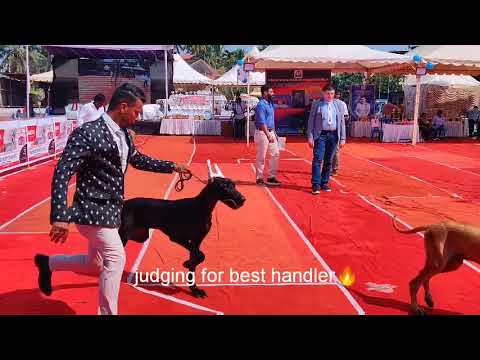 DOG SHOW KOZHIKODE,KERALA