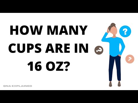 How Many Cups Is a Bottle of Water? - How To Discuss