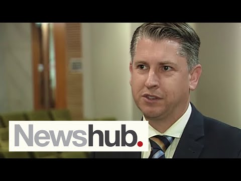 'This is a failure': Disruptions to Wellington train lines prompt rapid review | Newshub