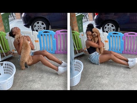 Woman Reunited With Dog After THREE MONTHS! // Adorable Pawsome Pets