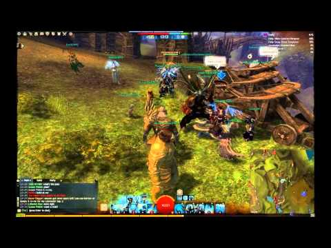 Guild wars 2 World Vs World action (Guardian part 12)