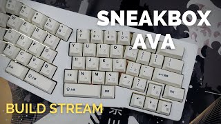 Build: Sneakbox Design AVA with Tecsee Ice Candy