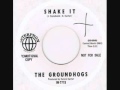 The Groundhogs "Shake It"