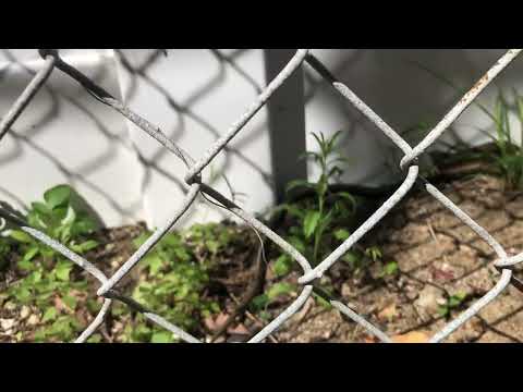 Outsunny 11’ by 9’ Steel Outdoor Garden Shed Video 38