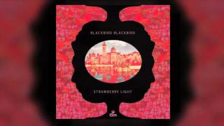 Blackbird Blackbird - There Is Nowhere (Phages Remix)