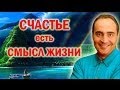 В чем смысл жизни? Почему счастье - главный смысл жизни. 