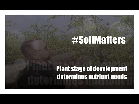 Marc Suderman #341 | Spring Cell Division is Plant and Fruit Growth | 7-18-2017