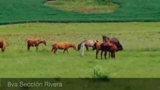 Miniatura del video