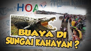 Hoax or Fact: Beredar Kabar Ada Buaya di Sungai Kahayan Palangkaraya