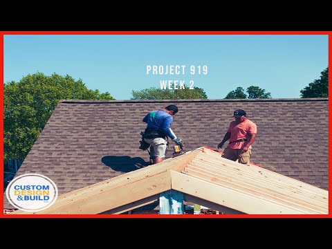 Project 919 Week 2