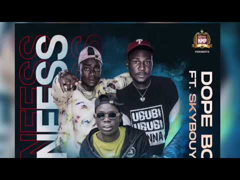 Dope boys ft Sky Bouy {Confess} Audio song