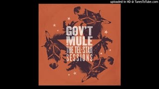 Gov&#39;t Mule - The Same Thing