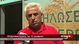 ΠΡΟΒΛΗΜΑΤΙΣΜΟΣ ΓΙΑ ΤΟ ΒΑΜΒΑΚΙ