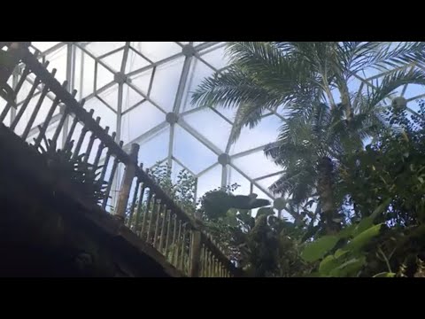 Virtual Tour: Climatron November 30, 2020