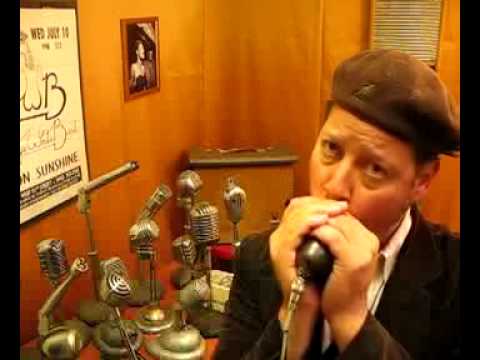 Shure Brown Bullet 1940s Harp Mic with Black CR element