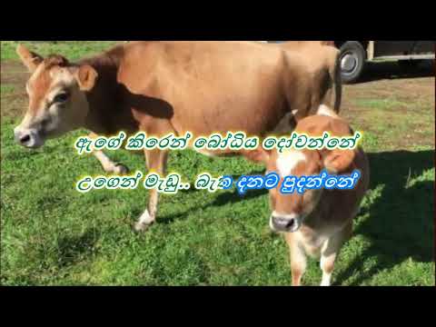 Banen Banda Rajarata Pedesinne  / බානෙන් බැඳ රජරට පෙදෙසින්නේ ( Lyrics Song ) Sunil Edirisinghe