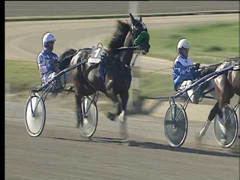 Trotto 09/04/2017 - 5ª corsa