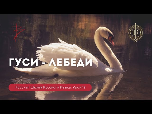 Русская Школа Русского Языка. Гуси — Лебеди. Урок 19. Виталий Сундаков Русская Школа Русского Языка. Гуси — Лебеди. Урок 19. Виталий Сундаков
