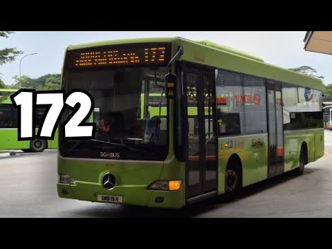 (SMRT) SMB19H on Service 172 - Mercedes Benz OC500LE Gemilang 