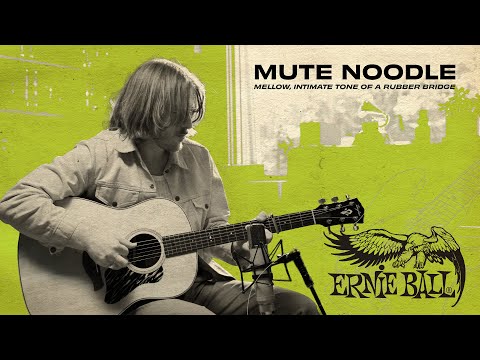 Ernie Ball 9636 Guitar Mute Noodle