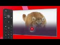 Virgin TV 360 Remote Features