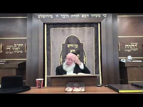 Shabbos Question: Can You Open a Garbage Can on Shabbos? Shiur by Rav Asher Weiss Shlit"a (5784)