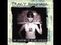 Tracy Bonham - Brain Crack