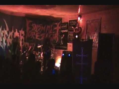 Dismal Foresight - Storm in the Mind