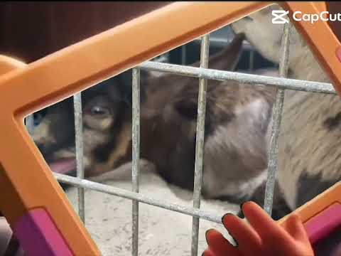 The most terrifying moment of my life