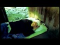 El Taliban Monterrojo VIDEO OFICIAL HD
