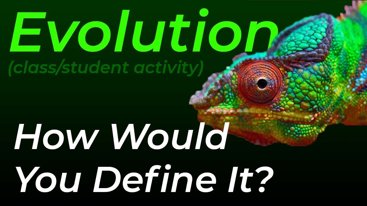 Biology [NGSS Style Activity] Introduction to Evolution (free handout link in description)