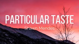 Shawn Mendes - Particular Taste (Lyrics)