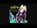 Kesha Your Love Is My Drug