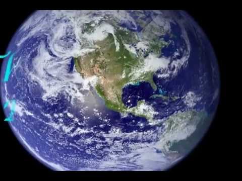 The Waters of Playa del Rey