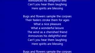 Kadebostany - Bugs & Flowers (lyrics)