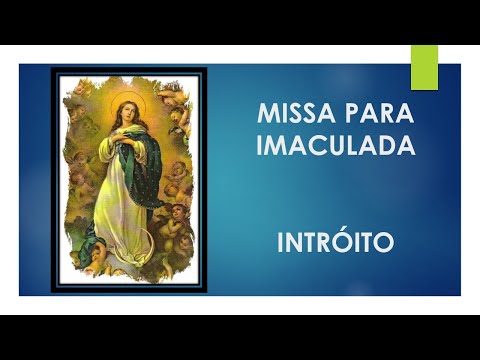 TODA PURA ÉS MARIA (Paulo Neto) - CATÓLICA