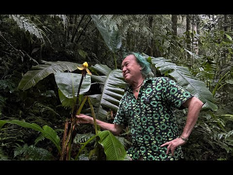 FIELD TRIP WITH PATRICK BLANC IN WEST PAPUA - ARFAK MOUNTAINS RAINFOREST