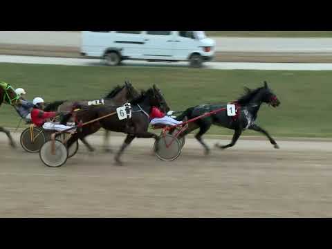 2018.03.31. 4. futam - COLOCAID HENDIKEP