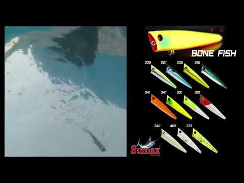 Vídeo Isca Sumax Bone Fish 87 Floating Popper