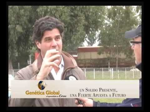 20-05-16 NOTA MIGUEL ARMENGOL - GENETICA GLOBAL - EXPO BOLIVAR - BOLIVAR.