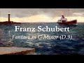 Franz Schubert - Fantasy in G Minor, D. 9 - Julia Antonova and Olga Golubeva, Piano 4-Hands