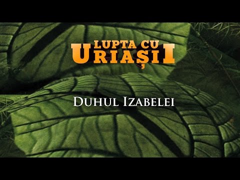Duhul Izabelei - Lupta cu uriașii
