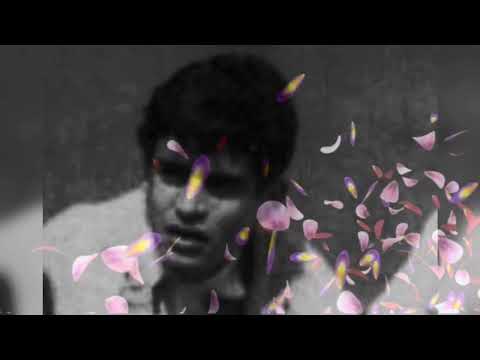 Khireddine : La solitude